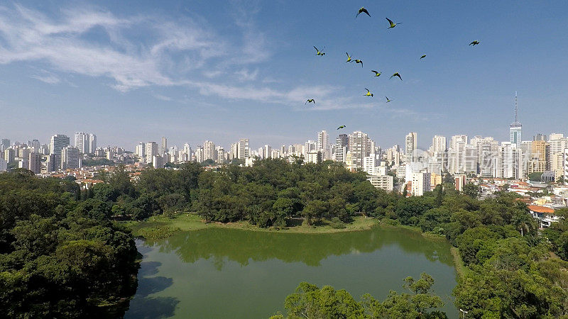 Aclimacao公园- São Paulo，巴西